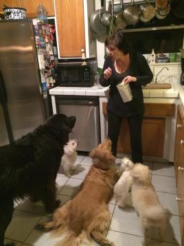 12371199_10207989482320033_6874757918559185550_o