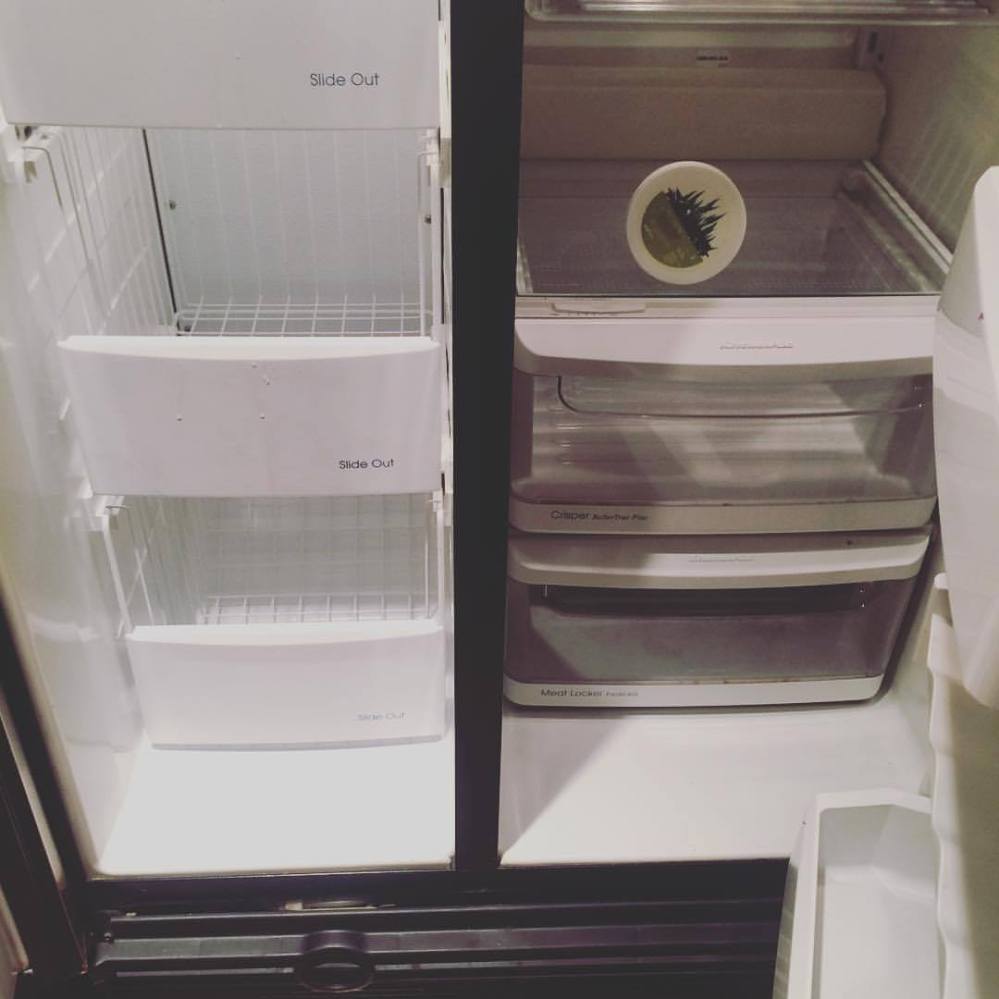 21765543_10214210456633861_4794139587614522220_o