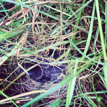 34873854_10216424935994461_651563040067551232_o